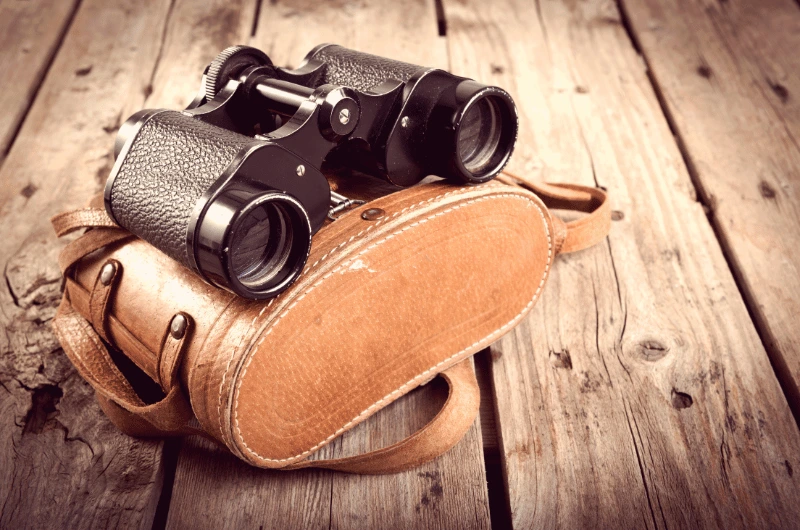 Pair of vintage binoculars resting on top of a worn leather case, showcasing classic design and craftsmanship.